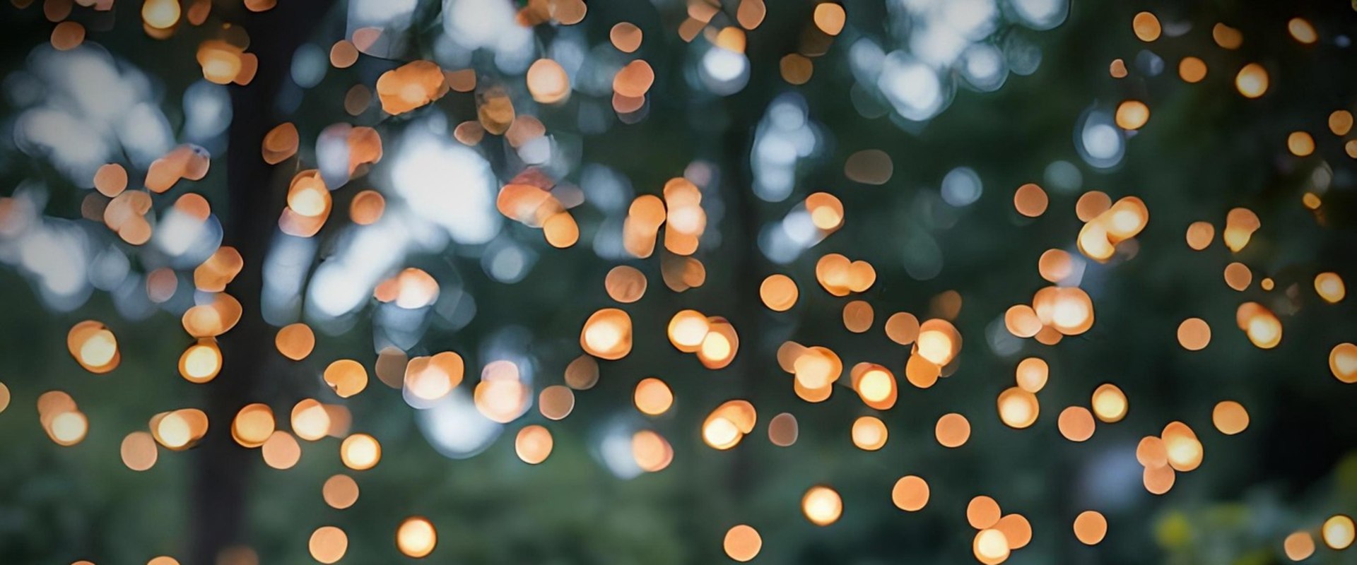 Enhance Your Home with Austin's Best Outdoor Lighting