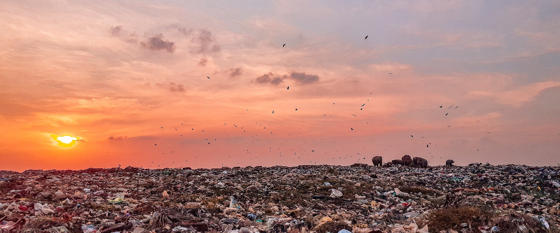 Keep Your Property Safe with Expert Trash Removal in Troutdale