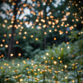 Enhance Your Home with Austin's Best Outdoor Lighting